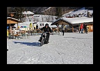 Harley & Snow 2013 (123)